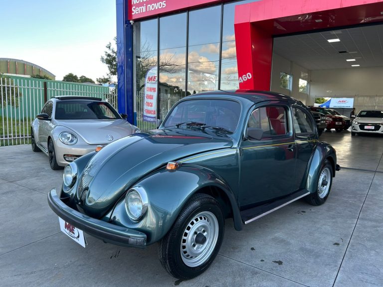 WhatsApp Image 2025-10-31 at 17.56.57