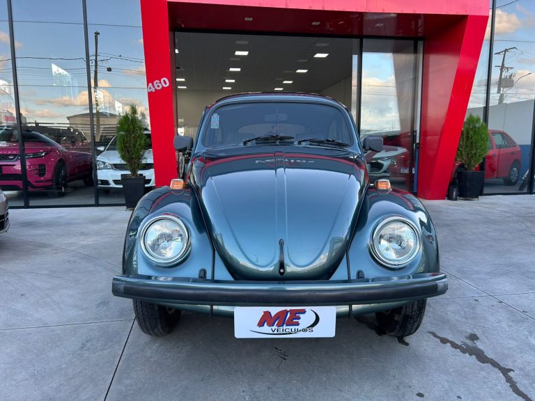 WhatsApp Image 2025-10-31 at 17.56.58